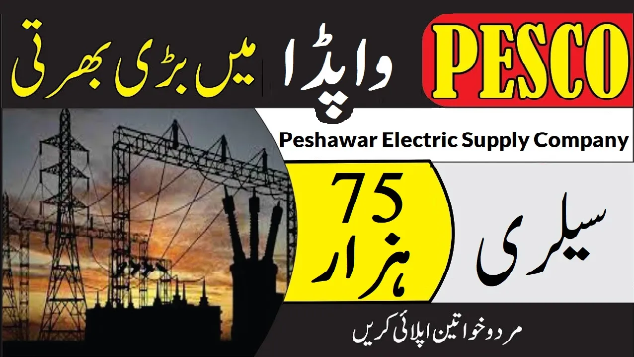 PESCO Jobs 2025 – Join Now